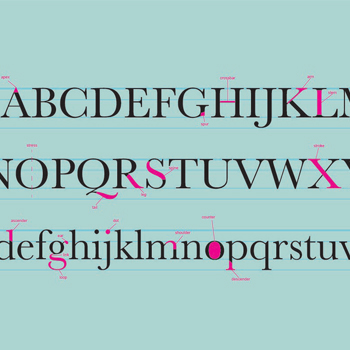 Typography